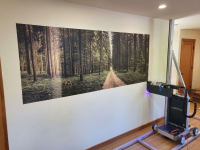 A beautiful forest scene has been printed in a residential house using the Surface Ink Vertical Wallprinter